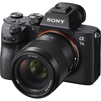 【レンズフィルター付】SONY SEL35F18F SEL35F18F レンズレビュー 作例付き・実機で解説！｜ソニー